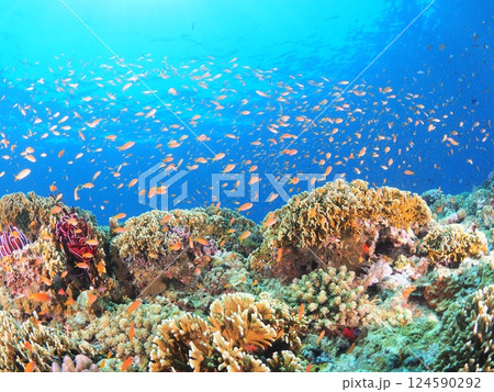 旅行パンフレットに最適｜沖縄・宮古島の美しい海とスキューバダイビング風景 124590292