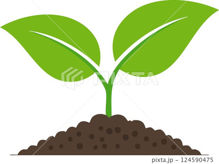 A green young plant growing in soil on white background 124590475