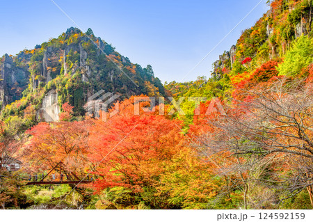 一目八景 124592159