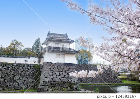 大分府内城址と桜 大分府内城址と桜 124592167