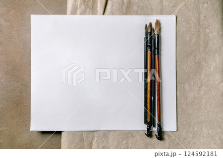 Paint Brushes on Empty White Canvas 124592181
