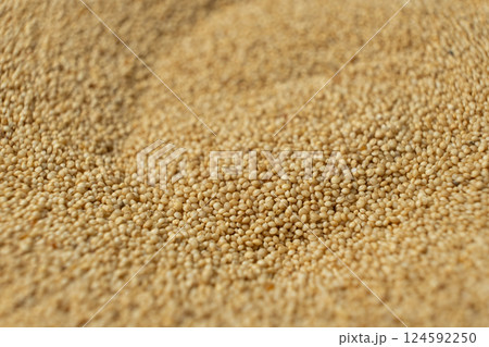 Uncooked Amaranth Seeds. Healthy Gluten-Free Grain Macro 124592250