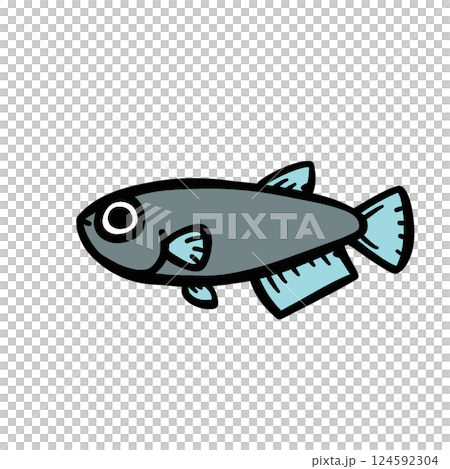 シンプルなメダカのイラスト 124592304