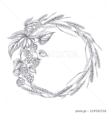Round frame with barley ears and hop branch. Isolated pencil illustration in realistic style for interior design of pubs, restaurants, cookbooks, menus. 124592316
