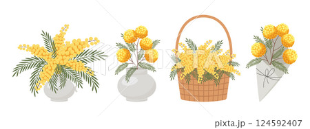 A set of compositions of mimosa bouquets in a vase, basket and envelope.Festive spring illustration. A set of compositions of mimosa bouquets in a vase, basket and envelope.Festive spring illustration. 124592407