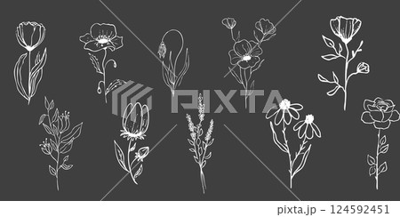 Floral botanical feminine wild flower summer line sketch chalk drawing. Trendy minimal elements wedding herbs, minimalistic flowers with elegant leaves. Tiny tattoo, elegant rustic Floral botanical feminine wild flower summer line sketch chalk drawing. Trendy minimal elements wedding herbs, minimalistic flowers with elegant leaves. Tiny tattoo, elegant rustic 124592451