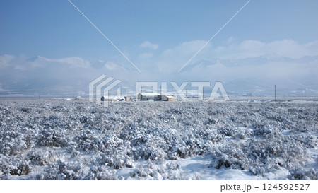 雪 スノー 冬 124592527