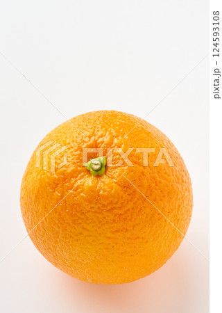 美味しそうなみかん 美味しそうなみかん 124593108