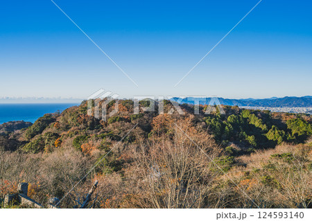 静岡市にある冬の晴れた日の朝の日本平から見た風景(静岡県) 124593140