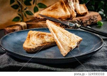 Grilled cheese sandwich. Grilled cheese sandwich. 124593310