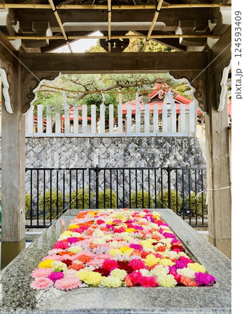 スポット 124593409