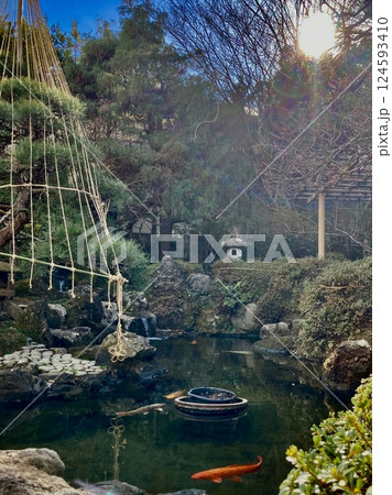 庭園 庭園 124593410