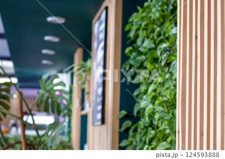 Eco-friendly interior space with modern wooden panels and green plant wall 124593888