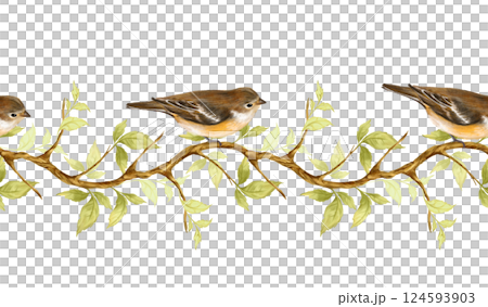 Greenery seamless border with birds on tree branches. Hand-drawn illustration 124593903