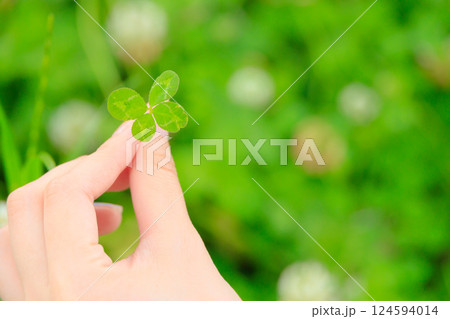 四つ葉のクローバーを持つ女性の手 124594014