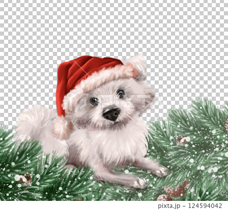 Cute fluffy white dog in Santa Hat. Hand drawn Christmas illustration with fir branches 124594042