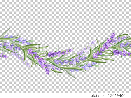 Lavender flowers. Hand drawn floral seamless border illustration Lavender flowers. Hand drawn floral seamless border illustration 124594044