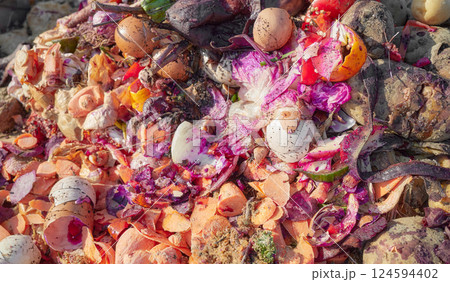 Organic waste compost pile with eggshells and vegetable scraps, selective focus. Organic waste compost pile with eggshells and vegetable scraps, selective focus. 124594402