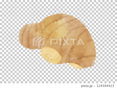 Ginger illustration in watercolor style 124594423