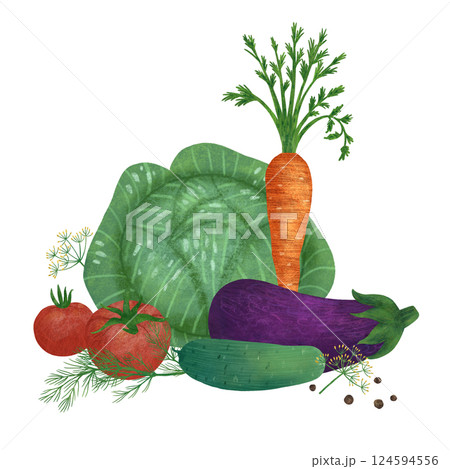Vegetable composition: cabbage, carrot, tomato, eggplant, cucumber, dill, black pepper 124594556