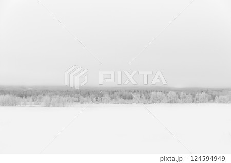 White winter landscape in prairies with field and trees in snow. White winter landscape in prairies with field and trees in snow. 124594949