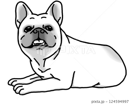 フレンチブルドッグ　白黒　背景透過　犬のイラスト 124594997