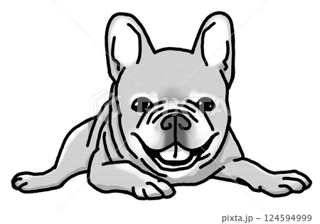 フレンチブルドッグ　白黒　背景透過　犬のイラスト 124594999