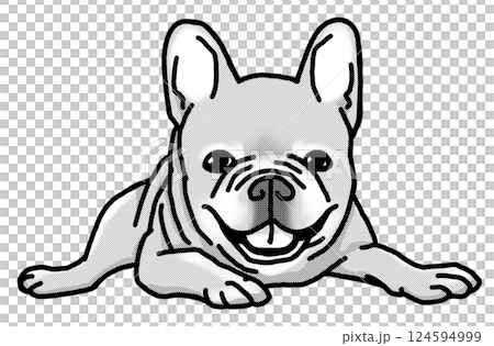 フレンチブルドッグ　白黒　背景透過　犬のイラスト 124594999