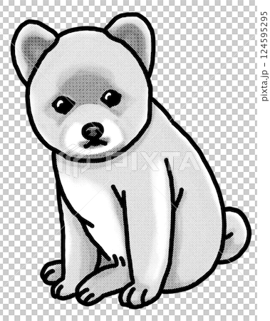 ポメラニアン pomeranian 犬のイラスト ポメラニアン pomeranian 犬のイラスト 124595295