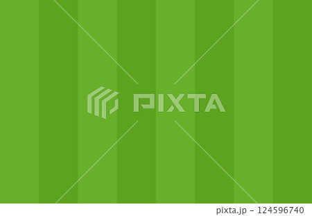 Green grass pattern for soccer and baseball fields. Stadium pitch turf from aerial view. Flat vector illustration isolated on white background. Green grass pattern for soccer and baseball fields. Stadium pitch turf from aerial view. Flat vector illustration isolated on white background. 124596740