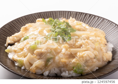 鶏ひき肉と白菜のあんかけご飯 124597456