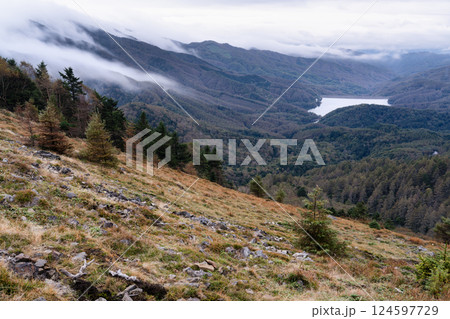 山梨県甲州市　秋の大菩薩嶺 124597729