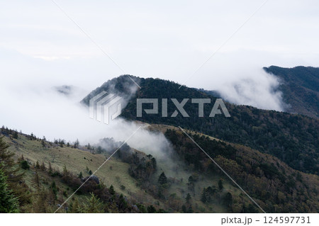 山梨県甲州市 秋の大菩薩嶺 山梨県甲州市 秋の大菩薩嶺 124597731