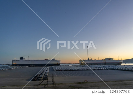 Two Ro-Ro Ships and New Cars on Large Parking Lot in Port 124597768