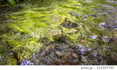水面に映る新緑・清流・エコイメージ(大山木谷沢渓流) 水面に映る新緑・清流・エコイメージ(大山木谷沢渓流) 124597795