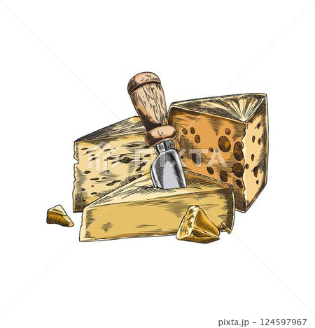 Composition of different cheeses with cheese knife vector sketch, hand drawn emmental, edam, gruyere and parmesan pieces 124597967