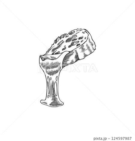 Melted cheese on bread slice vector sketch, engraved hand drawn national dish, dripping cheese on toast, hot sandwich Melted cheese on bread slice vector sketch, engraved hand drawn national dish, dripping cheese on toast, hot sandwich 124597987