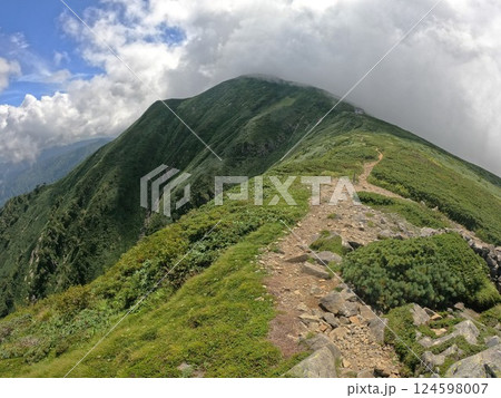 大朝日岳山頂への稜線 124598007
