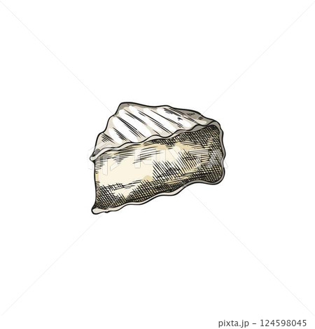 Cheese triangle part sketch, vector hand drawn Camembert piece of soft cheese, milk food production, healthy snack 124598045