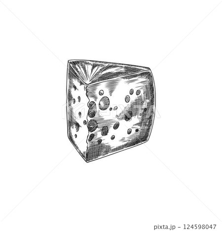 Emmental cheese with holes triangle piece vector sketch, engraved hand drawn healthy milk snack, Edam cheese with holes 124598047