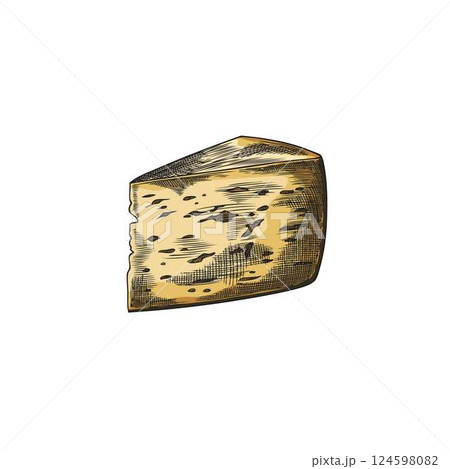 Edam cheese with holes triangle piece vector sketch, hand drawn healthy milk snack, Emmental yellow cheese with holes 124598082