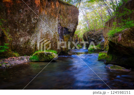 新緑の樽前ガロー 新緑の樽前ガロー 124598151