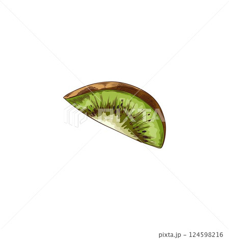 Kiwi fruit slice hand drawn vector illustration, tropical sweet fruit piece sketch, organic snack, fondue ingredient Kiwi fruit slice hand drawn vector illustration, tropical sweet fruit piece sketch, organic snack, fondue ingredient 124598216