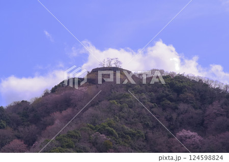 兵庫県佐用町の利神城 兵庫県佐用町の利神城 124598824
