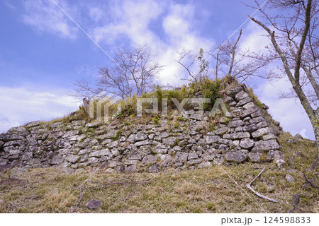 兵庫県佐用町の利神城 兵庫県佐用町の利神城 124598833