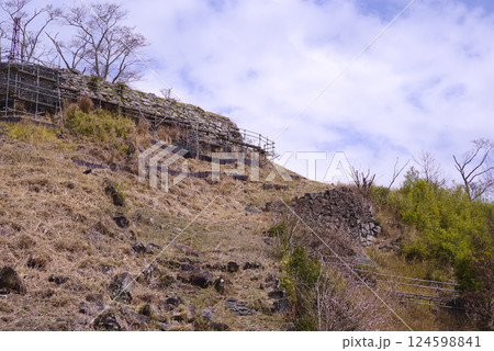 兵庫県佐用町の利神城 124598841