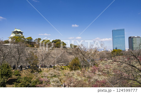 大阪城の梅林 124599777