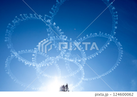 ブルーインパルス－13 124600062