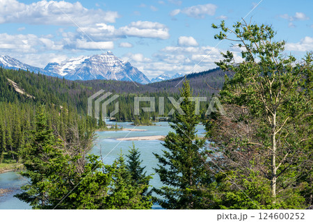 Summer Landscape of Athabasca River with Sandbars and Forest in the Canadian Rockies. Jasper National Park, Alberta, Canada 124600252