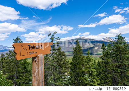 Mount Tekarra Signpost in Jasper National Park. Canadian Rockies summer landscape. Alberta, Canada 124600259